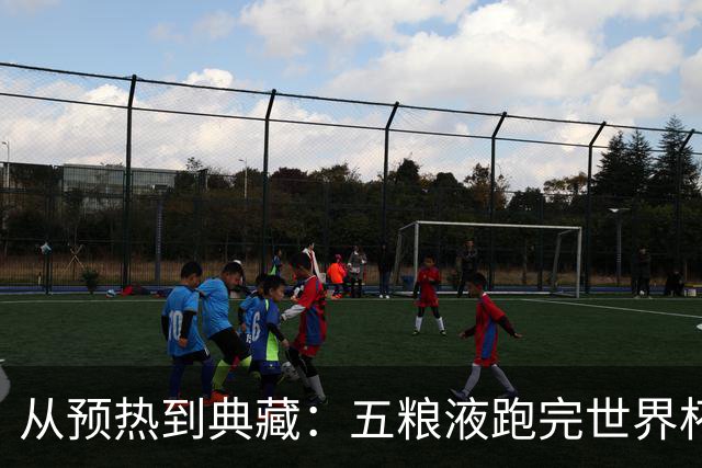 从预热到典藏：五粮液跑完世界杯营销“全赛程”