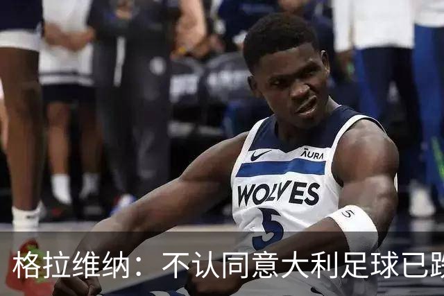格拉维纳：不认同意大利足球已跌至最低点 对未晋级世界杯失望