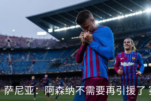 萨尼亚：阿森纳不需要再引援了 赛季最佳球员我选廷伯